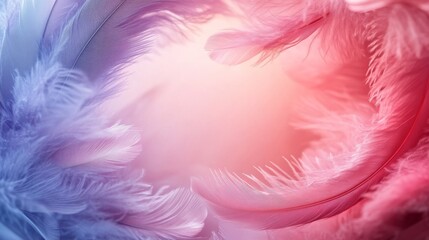 Soft Pink and Purple Feathers with a Blurred Background