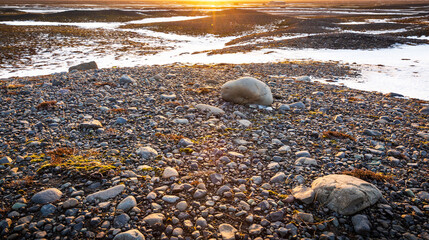 South Iceland Route 1 road snowy Winter during sunset.