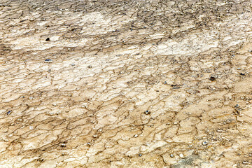 Close-up of the earth surface, Waiotapu Thermal Wonderland, Rotorua, North Island, New Zealand, Oceania.