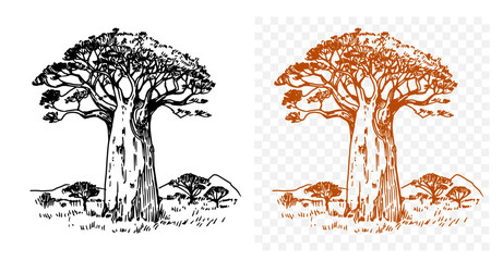 Baobabs, African landscape, sketch illustration, hand drawn, black outline, engraving style © aksol