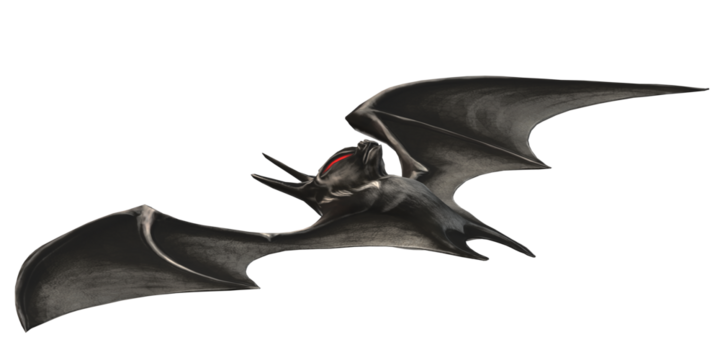 Scary Spooky Bat isolated on a Transparent Background