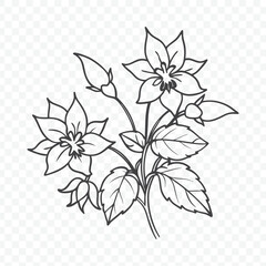 Floral Bunch Featuring Beautiful Columbine Line Art Vector Design for Elegant Decor and Creative Projects