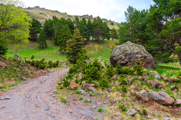 A picturesque mountain trail with pine trees on the background of a snow-covered cliff. The mountains of the North Caucasus. Russia.