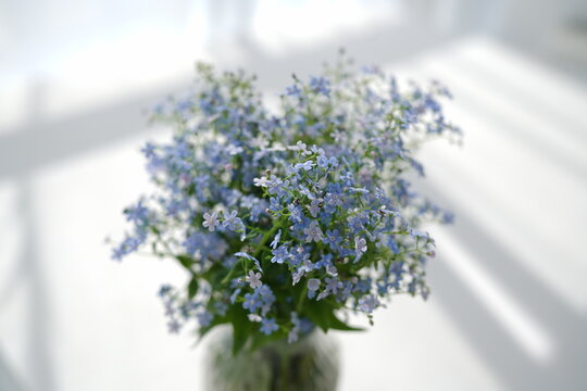 bouquet of wild flowers