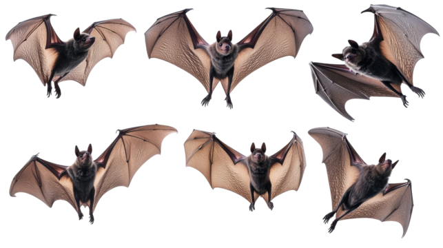 Isolated Collection of Bats in Flight Showcasing Wing Movements Generative AI