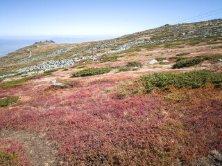 Panorama of Vitosha Mountain near Cherni Vrah peak, Bulgaria