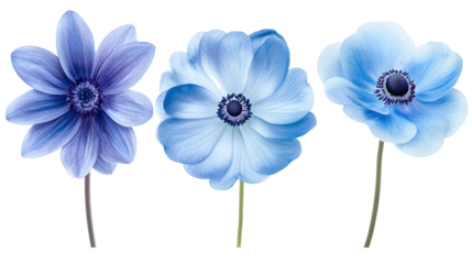 Collection of Isolated Blue Flowers With Transparent Backgrounds Generative AI