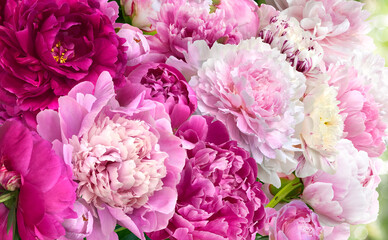 A huge bouquet of bright multi-colored peonies.