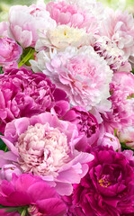 A huge bouquet of bright multi-colored peonies. Vertical.