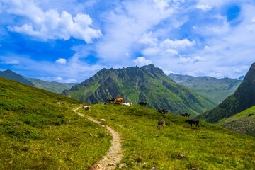 The Brandertal near Alpe Palüd, State of Vorarlberg, Austria