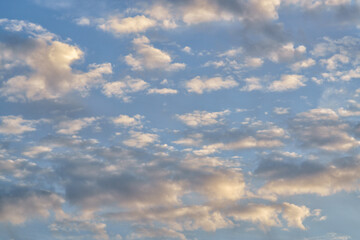 Fototapeta premium Cloudscape with colored fluffy clouds in sunset sky