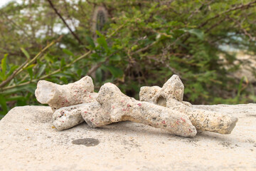 Bonaire, treasure of the Carribean