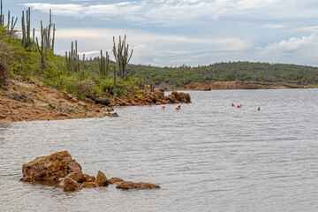 Bonaire, treasure of the Carribean