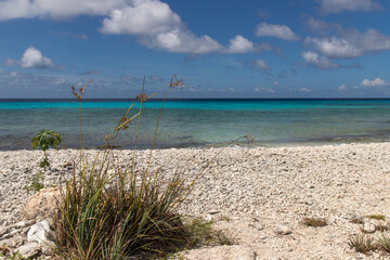 Bonaire, treasure of the Carribean