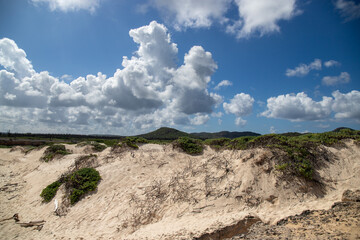 Bonaire, treasure of the Carribean