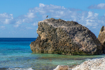 Bonaire, treasure of the Carribean