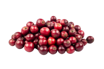 Freshly Harvested Coffee Beans: A captivating photo of vibrant red coffee beans, ready for roasting and brewing, showcasing the essence of a coffee lover's journey from bean to cup. 