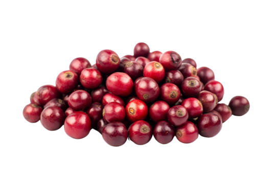 Freshly Harvested Coffee Beans: A captivating photo of vibrant red coffee beans, ready for roasting and brewing, showcasing the essence of a coffee lover's journey from bean to cup. 