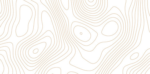 Abstract wave paper curved reliefs background .gradient multicolor wave curve lines banner background design .topographic contours map background .Vector geographic contour map.	