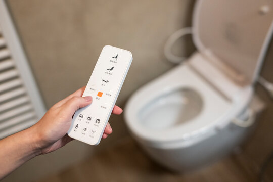 Toilet Remote Control in Hand