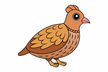 chicken on a white