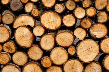 Background of a pile of pieces of wood. Front view.