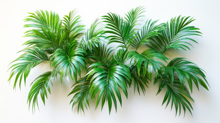 Lush Green Tropical Palm Leaves top view 
