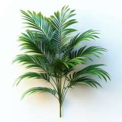 A tropical palm tree leaves