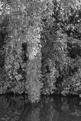 Spätsommertag an der Alster inHamburg