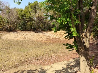 Fototapeta premium O Jalapão está localizado no extremo leste do Tocantins, região norte do Brasil