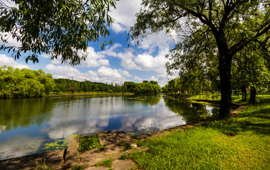 Park on a bright sunny day on the river bank