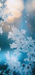 Intricate frost patterns resembling delicate flowers adorn a frozen window in soft morning light creating a serene atmosphere