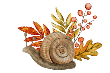 Watercolor illustration of a snail with a spiral shell, surrounded by autumn leaves and berries. The earthy colors and detailed design give it a seasonal, nature-inspired, artistic touch. © nadia.art.design