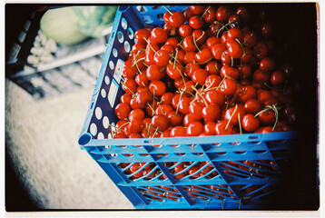 Fresh Cherry Harvested in a Blue Crate at a Local Market.