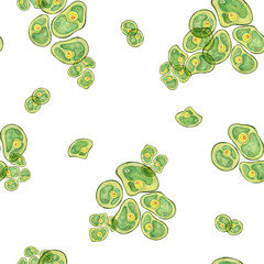 Green Chlorella algae cells. Watercolor seaweed seamless pattern clipart. Ideal for creating designs related to health supplements, eco-friendly products, or educational infographics on algae