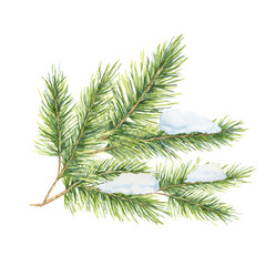 A green spruce branch with thick needles, covered with snow. Fir, cedar, pine watercolor twig. Isolated clipart for winter-themed designs, holiday stationery, festive decorations, or seasonal labels