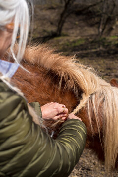 Anonymous senior woman making a brain on horse hair
