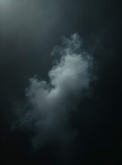 Fototapeta premium A faint white mist floats against a dark, rich backdrop._00001_