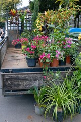 Flowers for sale in a truck at the market of Santo da Serra. Madeira. Local farmers market.