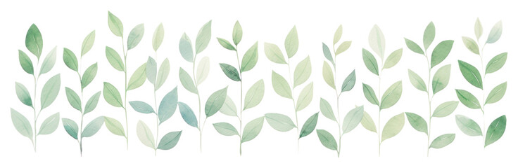 PNG Green leaves as divider line watercolour illustration backgrounds plant leaf.