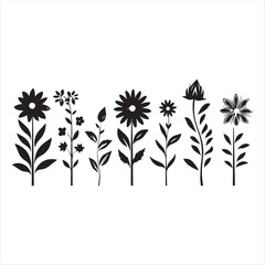 illustration of a rose