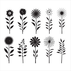 illustration of a rose, flower, floral, vector, design, pattern, decoration, nature, illustration, leaf, flowers, element, ornament, art, plant, frame, spring, tattoo, silhouette, wallpaper, black, de