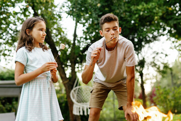 Little girl looking at brother eating grilled marshmallow on fire