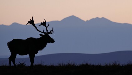 Fototapeta premium Majestic elk silhouette stands on mountainous horizon at dusk