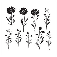 illustration of a rose, flower, floral, vector, design, pattern, decoration, nature, illustration, leaf, flowers, element, ornament, art, plant, frame, spring, tattoo, silhouette, wallpaper, black, de