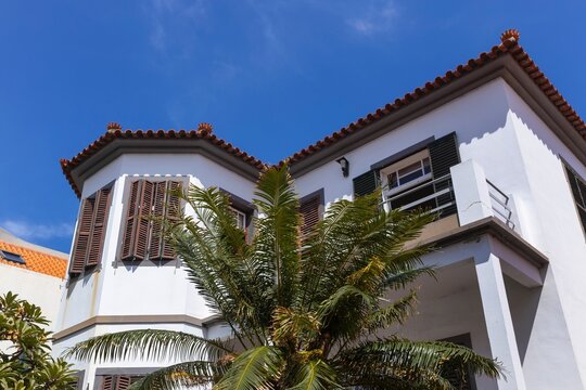 Villa and palm tree. City of Santa Cruz Madeira Portugal.