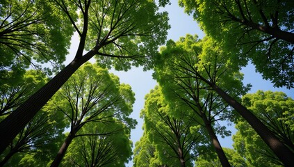 Obraz premium Trees as earths natural air filters planting more helps fight air pollution for improved health