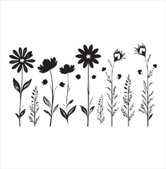 illustration of a rose, flower, floral, vector, design, pattern, decoration, nature, illustration, leaf, flowers, element, ornament, art, plant, frame, spring, tattoo, silhouette, wallpaper, black, de