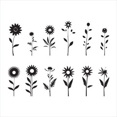 illustration of a rose, flower, floral, vector, design, pattern, decoration, nature, illustration, leaf, flowers, element, ornament, art, plant, frame, spring, tattoo, silhouette, wallpaper, black, de