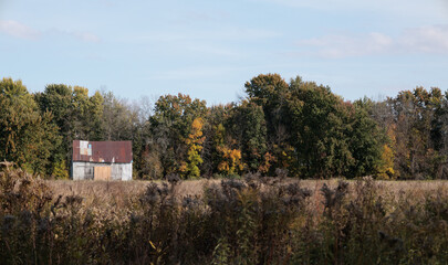 house in the field